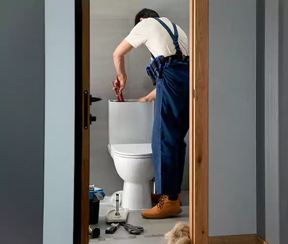 Professional Plumbers for Toilet Bowl Replacement in McDonough, GA: Schedule Affordable Toilet Replacement Services With Us