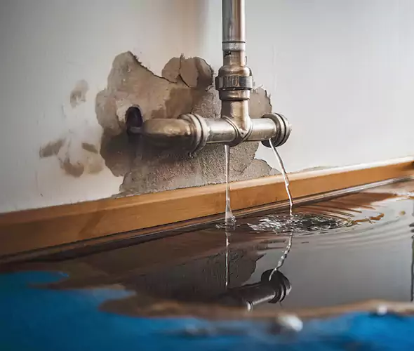 Professional Water Damage Restoration Experts in McDonough, GA — Fast, Reliable & Certified
