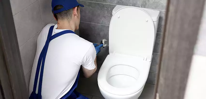 Toilet Lid Replacement in McDonough